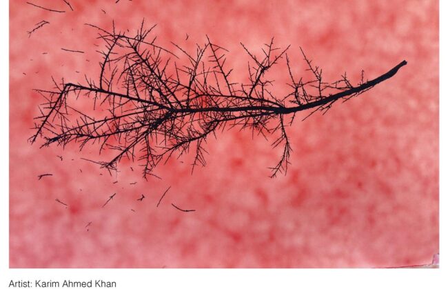 Karim Ahmed Khan - Traces and Voids