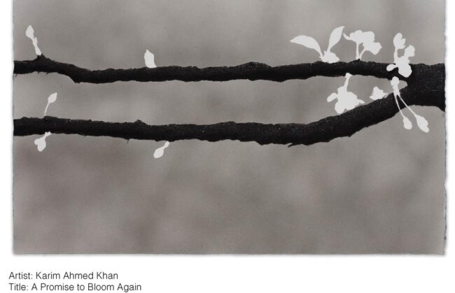 Karim Ahmed Khan - Traces and Voids