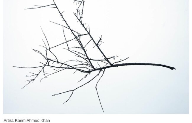 Karim Ahmed Khan - Traces and Voids